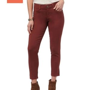 Democracy "Ab"solution jegging, terracotta, size 4